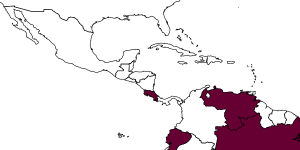 map of Ipsiura venezuelae     Bohart, 1985